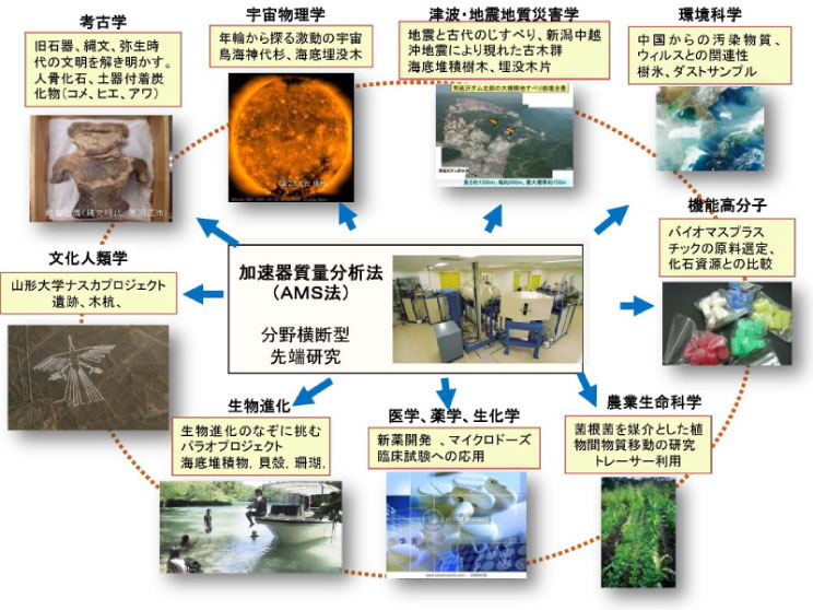 高感度加速器質量分析